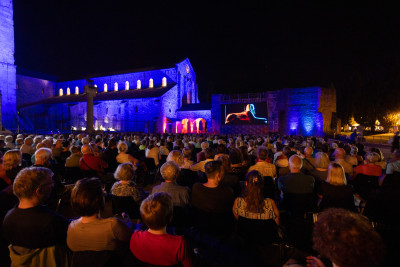 Pubblico Aquileia Film Festival- ©N. Oleotto
